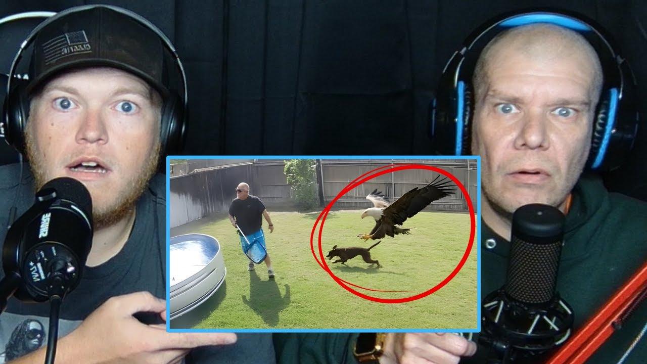 Da Boys Media Reacts: Wild Backyard Moments Caught on Camera
